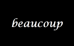 Dire beaucoup